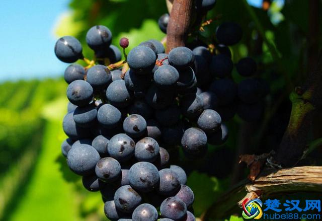 似水流年，转眼，我们已经人到中年