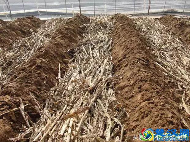 什么是秸秆肥？