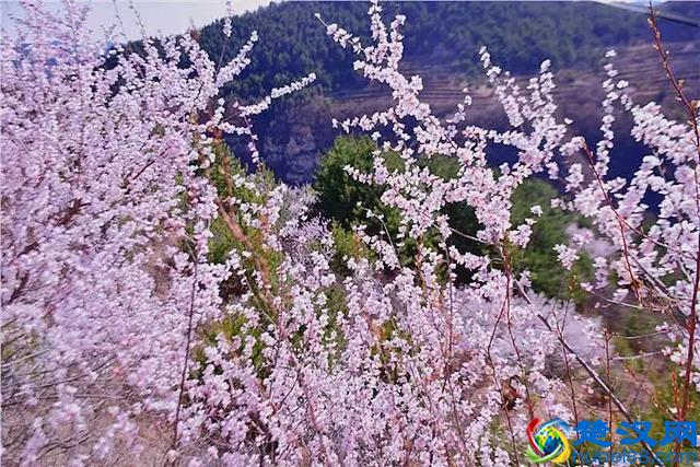 清明小长假 游客纷至沓来