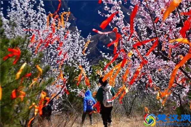 清明小长假 游客纷至沓来