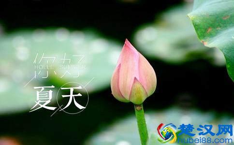 夏至是什么时候？夏至吃什么好？