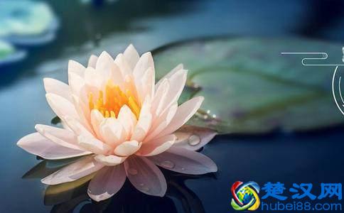 夏至是什么时候？夏至吃什么好？