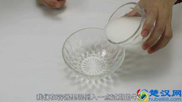 绿萝叶子枯黄了怎么办？教你几招，绿萝蹭蹭冒绿叶，一个月开爆盆