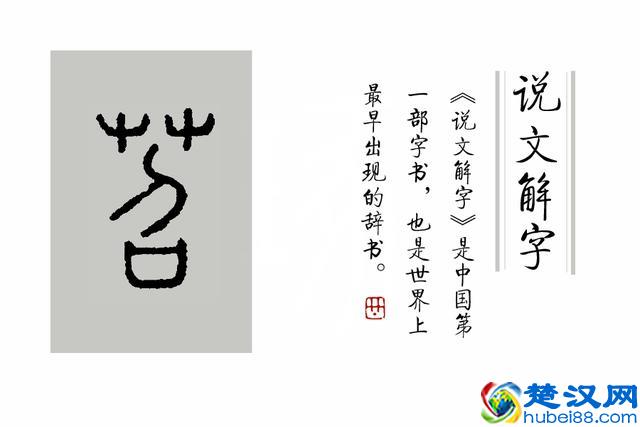 成语“如火如荼”中，“荼”是什么意思，为什么不读作茶？