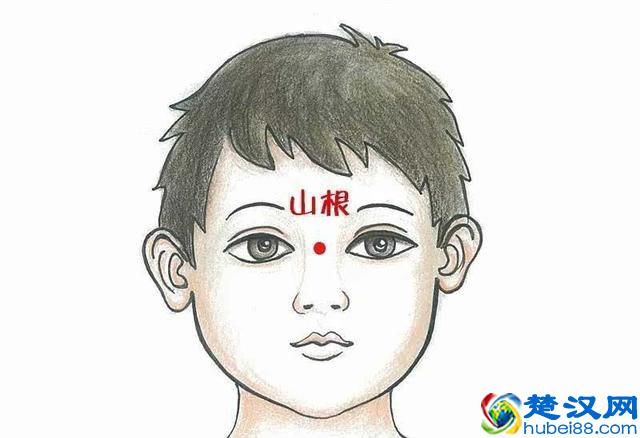 山根的准确位置你知道吗？在面相中山根代表什么呢？