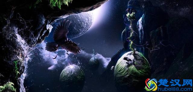 写网络小说有多苦，4位年收入过千万大神的亲身经历告诉你