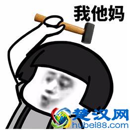 iPad Pro插U盘不能导入图片？技术宅教你怎么做