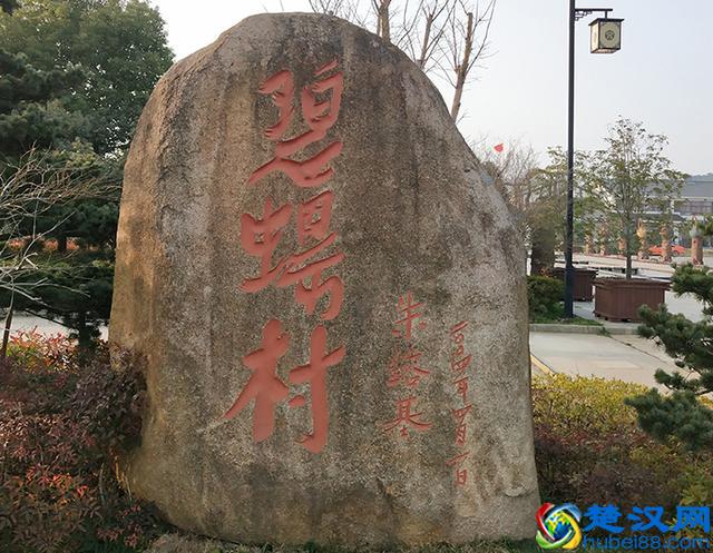 正宗碧螺春产地是哪，哪里的碧螺春品质最好？