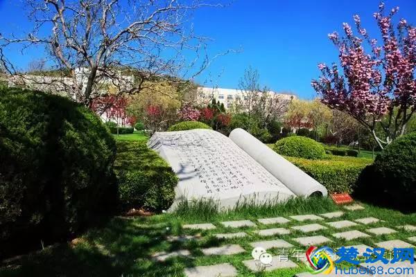 中国大学会计专业排行榜！