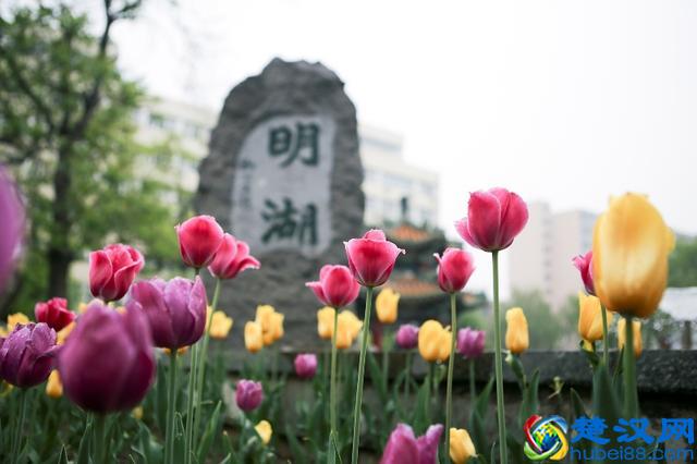 工商管理类专业是“最没用”的专业?事实却并非如此