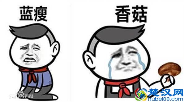 新一波表情包来袭！微博上热爆网络的蓝瘦，香菇是什么意思？