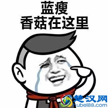 新一波表情包来袭！微博上热爆网络的蓝瘦，香菇是什么意思？