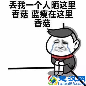 新一波表情包来袭！微博上热爆网络的蓝瘦，香菇是什么意思？