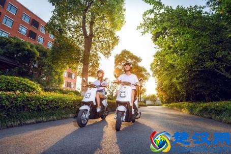 爱玛电动车与雅迪电动车哪个好?买车犹豫的看过来