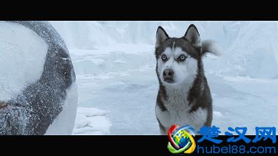 劈腿应该这样劈，才会有人称赞