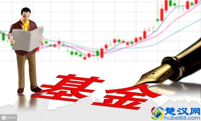 8个月收益29%，我是怎样基金定投的？
