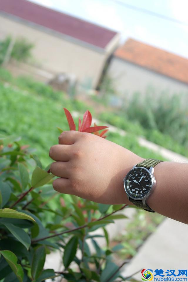 citizen是什么档次，西铁城手表怎么样测评