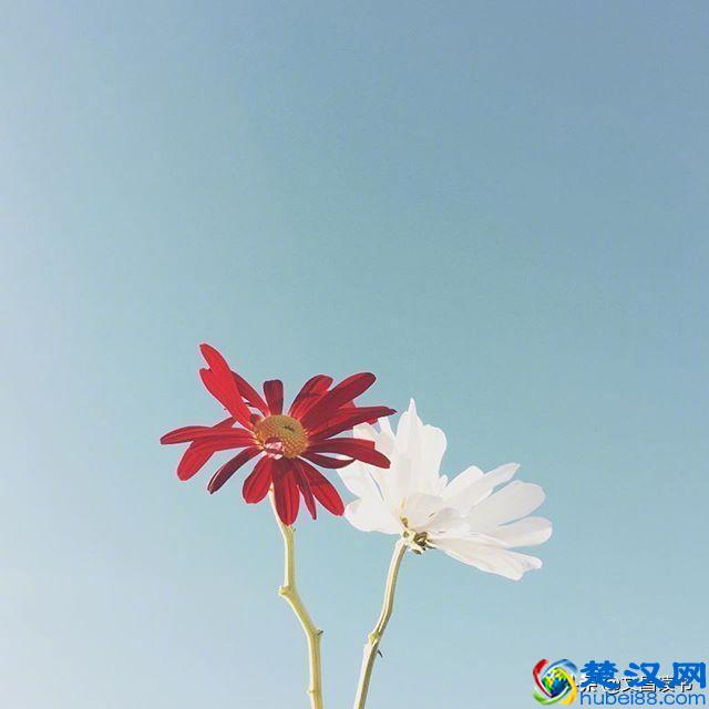 让人恍然大悟的句子，句句经典，直抵心灵