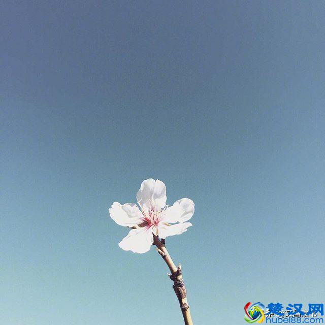 让人恍然大悟的句子，句句经典，直抵心灵