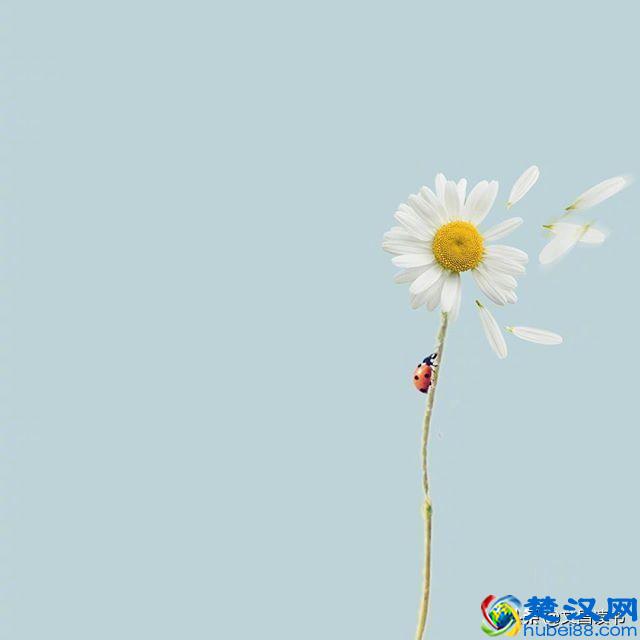 让人恍然大悟的句子，句句经典，直抵心灵