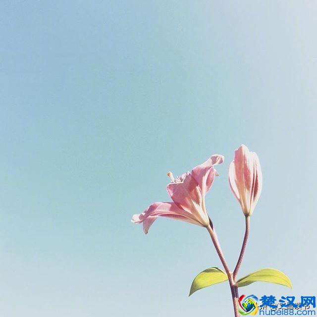 让人恍然大悟的句子，句句经典，直抵心灵