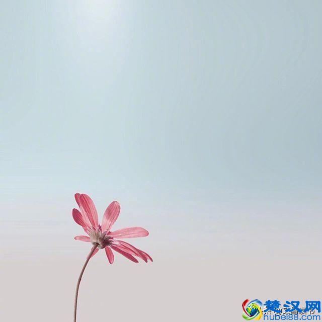 让人恍然大悟的句子，句句经典，直抵心灵