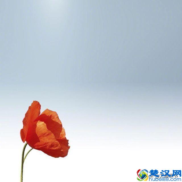 让人恍然大悟的句子，句句经典，直抵心灵