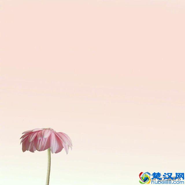 让人恍然大悟的句子，句句经典，直抵心灵