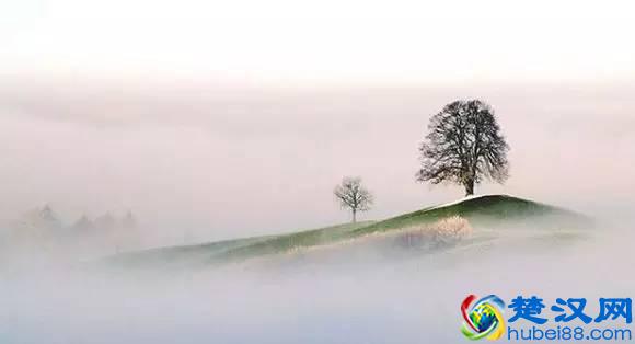 有容乃大，容的是什么？