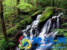 美国第19州：田纳西州