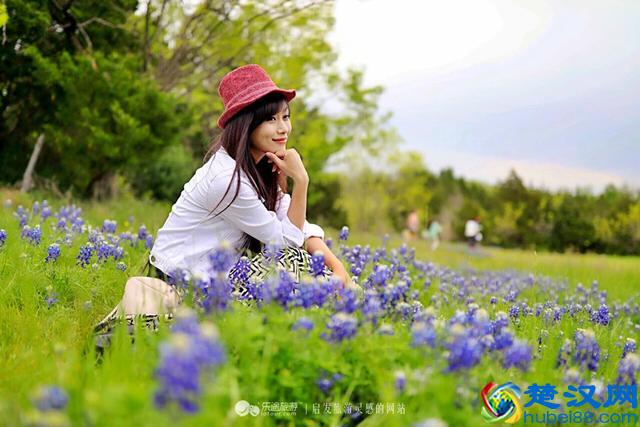 美国，最文艺的德克萨斯州