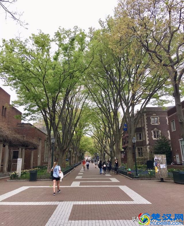 随拍美国常春藤名校--宾夕法尼亚大学