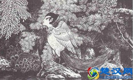 什么是妖精？中国古代十大妖精