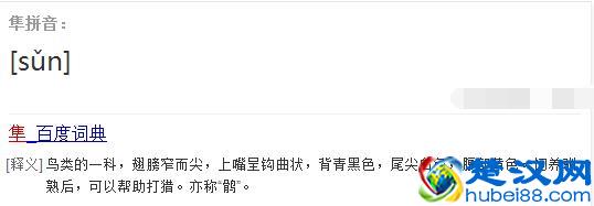 猎隼多少钱一只？寿命多长？“隼”字怎么读？