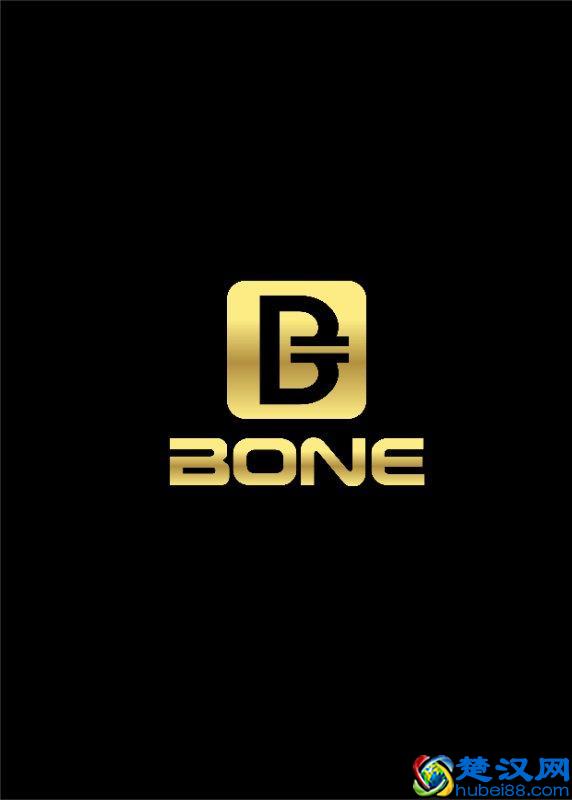 什么是BONE链?BONE的价值取向是什么？