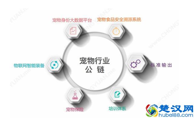 什么是BONE链?BONE的价值取向是什么？