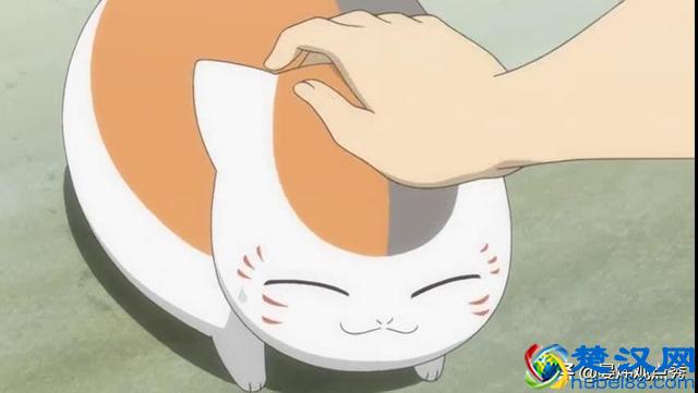 你了解治愈系文化吗？