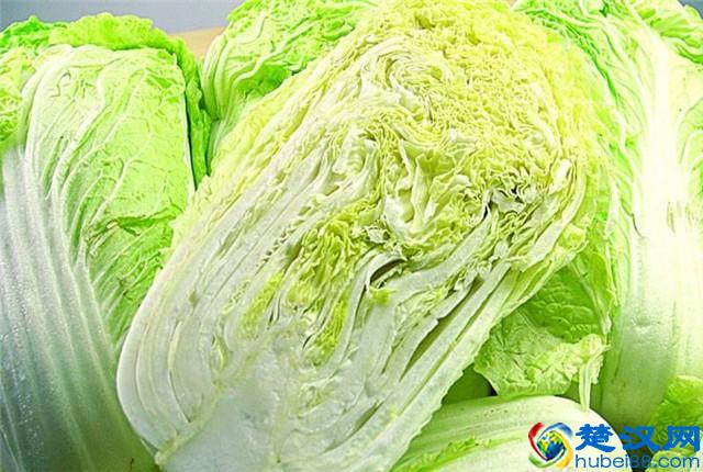 大白菜种植，怎样种植出优质大白菜，优质大白菜种植管理技术