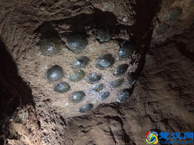 怕孩子放暑假在家无聊？来这几个地方开阔一下眼界也不错，去玩吧