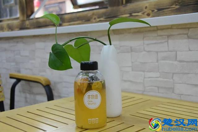 邂逅冰爽夏日——茶物语