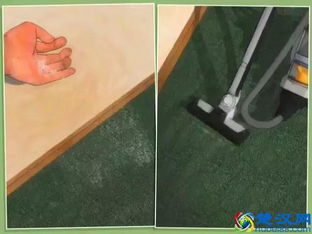 如果发现家中有跳蚤，只需这样做，跳蚤就通通不见了！