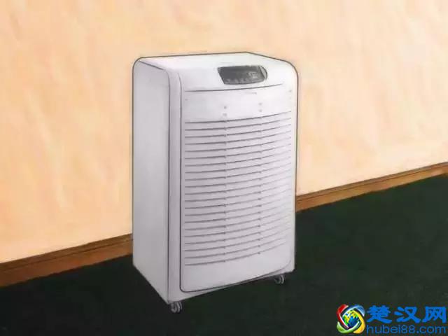 如果发现家中有跳蚤，只需这样做，跳蚤就通通不见了！