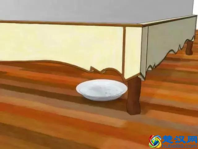 如果发现家中有跳蚤，只需这样做，跳蚤就通通不见了！