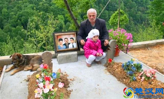 世界上最忠诚的九只狗狗，忠犬八公只是其中之一，泪湿透了眼眶！