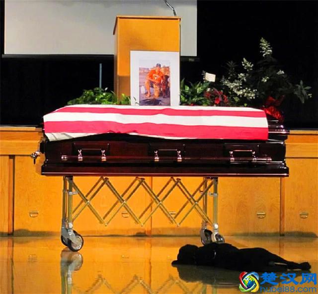 世界上最忠诚的九只狗狗，忠犬八公只是其中之一，泪湿透了眼眶！