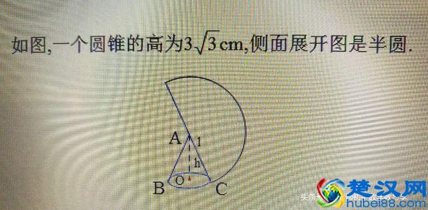 冲刺中考21：圆锥底面半径，母线长及侧面积