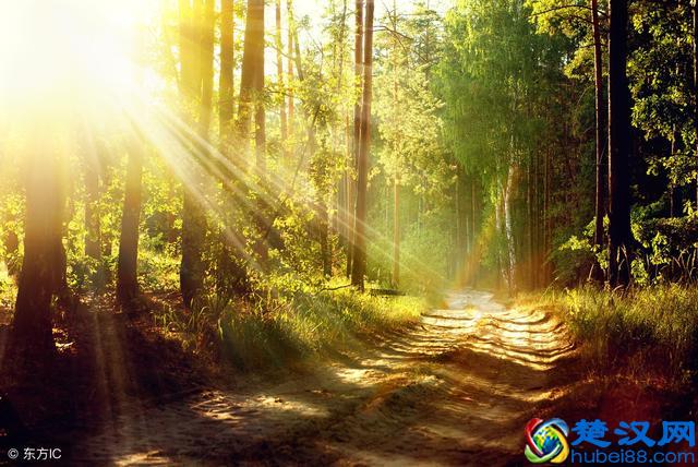 学会对自己负责,你才是一个真正有责任心的人