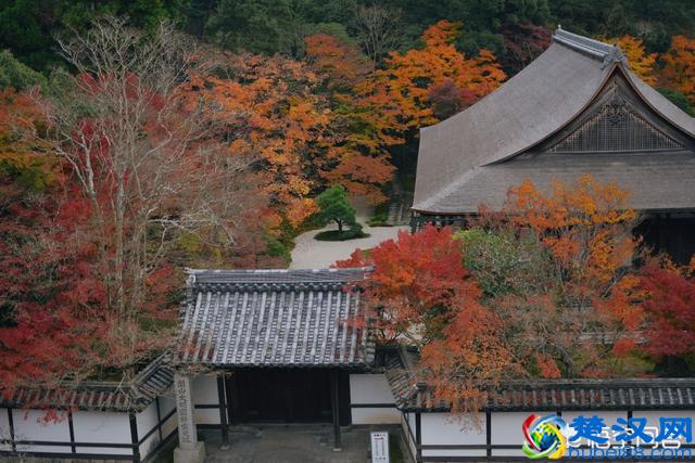 摄影初学者们，教你一分钟搞懂大光圈和小光圈