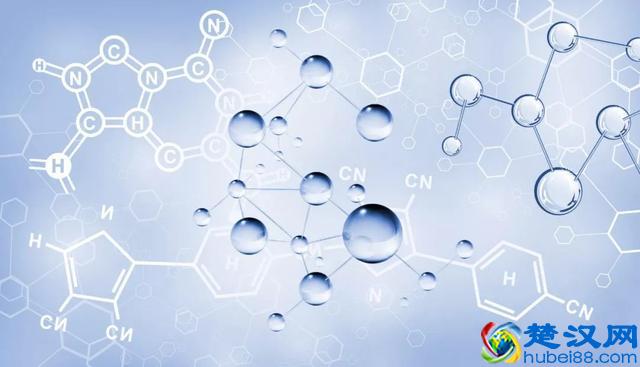 不懂什么叫多肽/胜肽，还敢学人家抗老