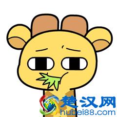 这么多年的无理数，我们都叫错了，无理数名称的发展史